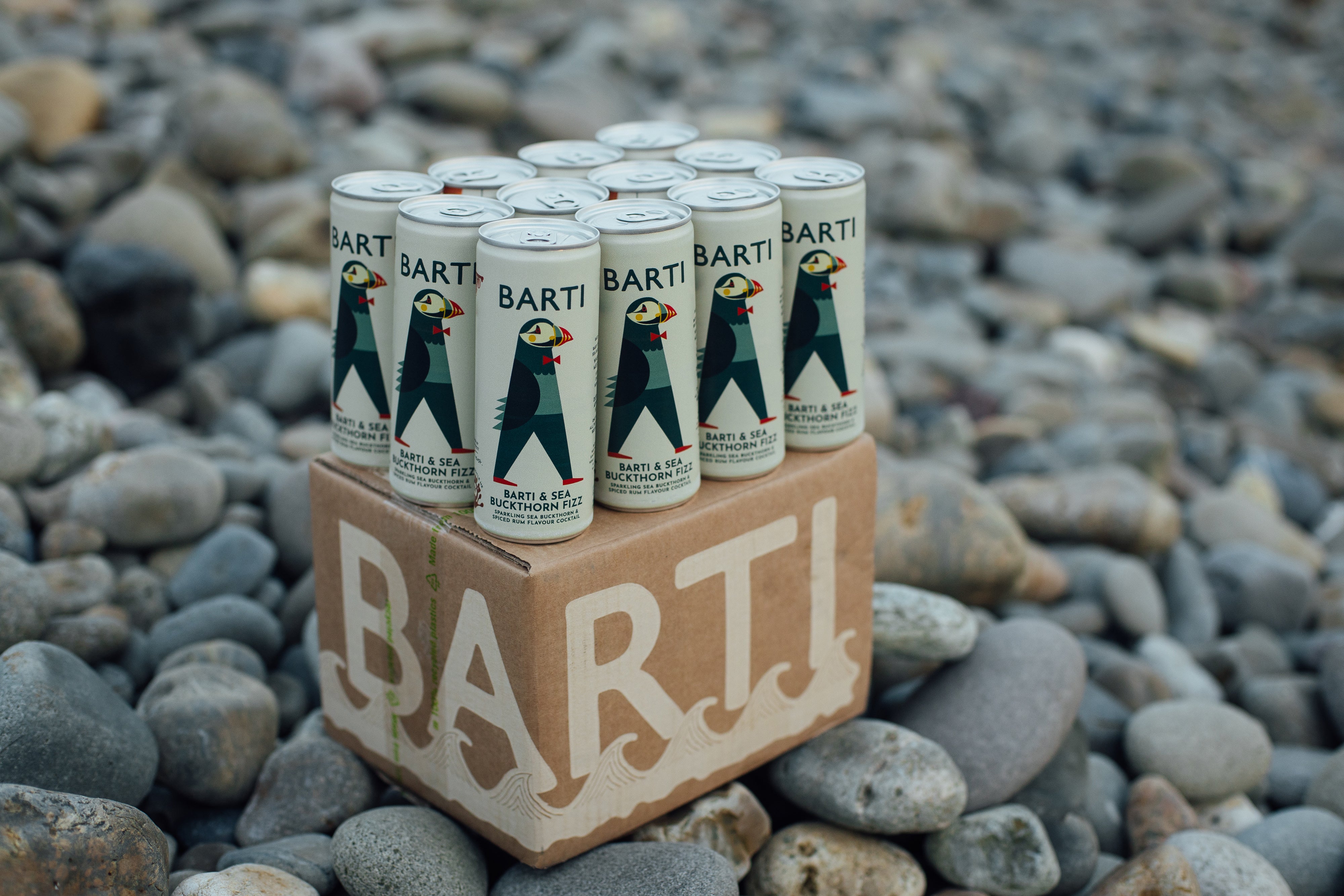 Barti & Sea Buckthorn Premixed Cocktail Can 12 pack