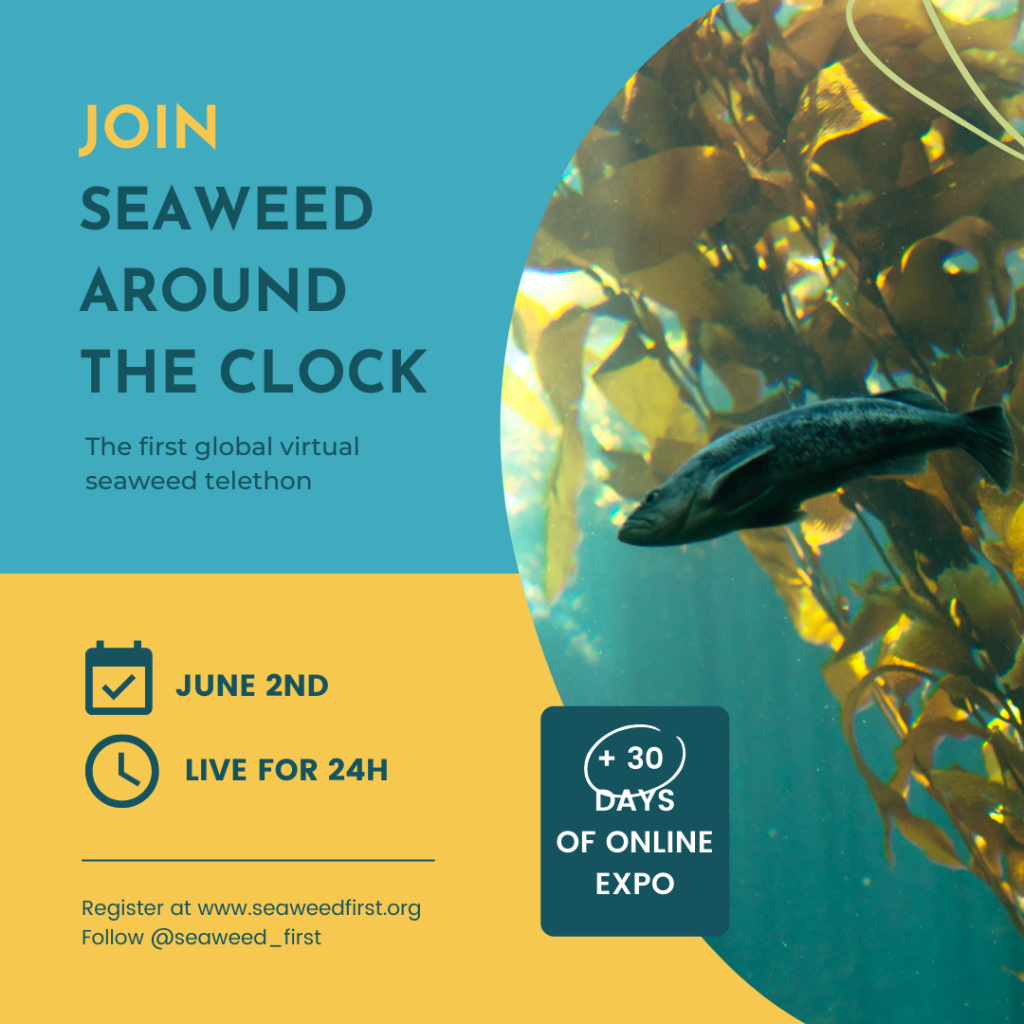 Seaweed Around The Clock