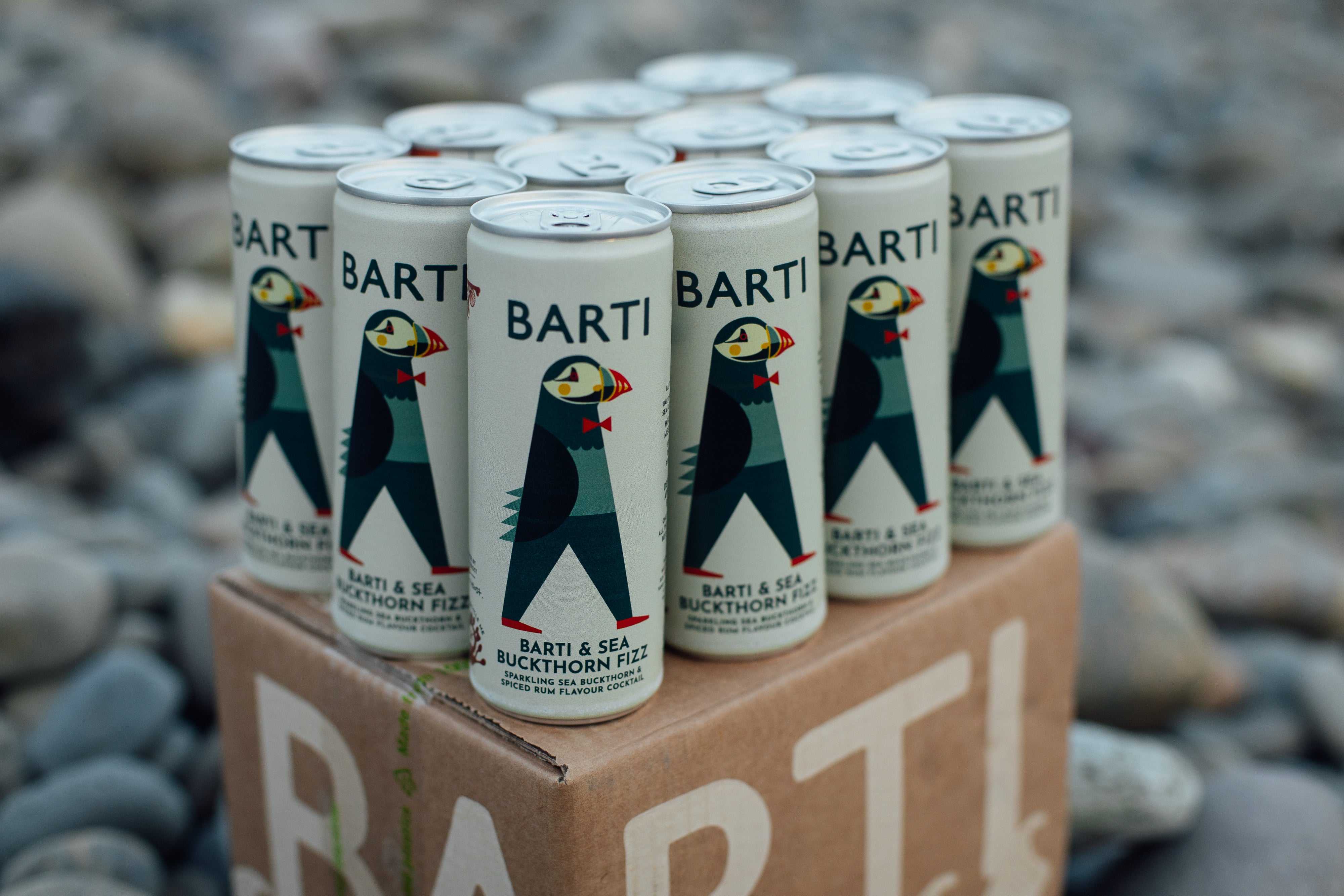 Barti & Sea Buckthorn Premixed Cocktail Can 12 pack