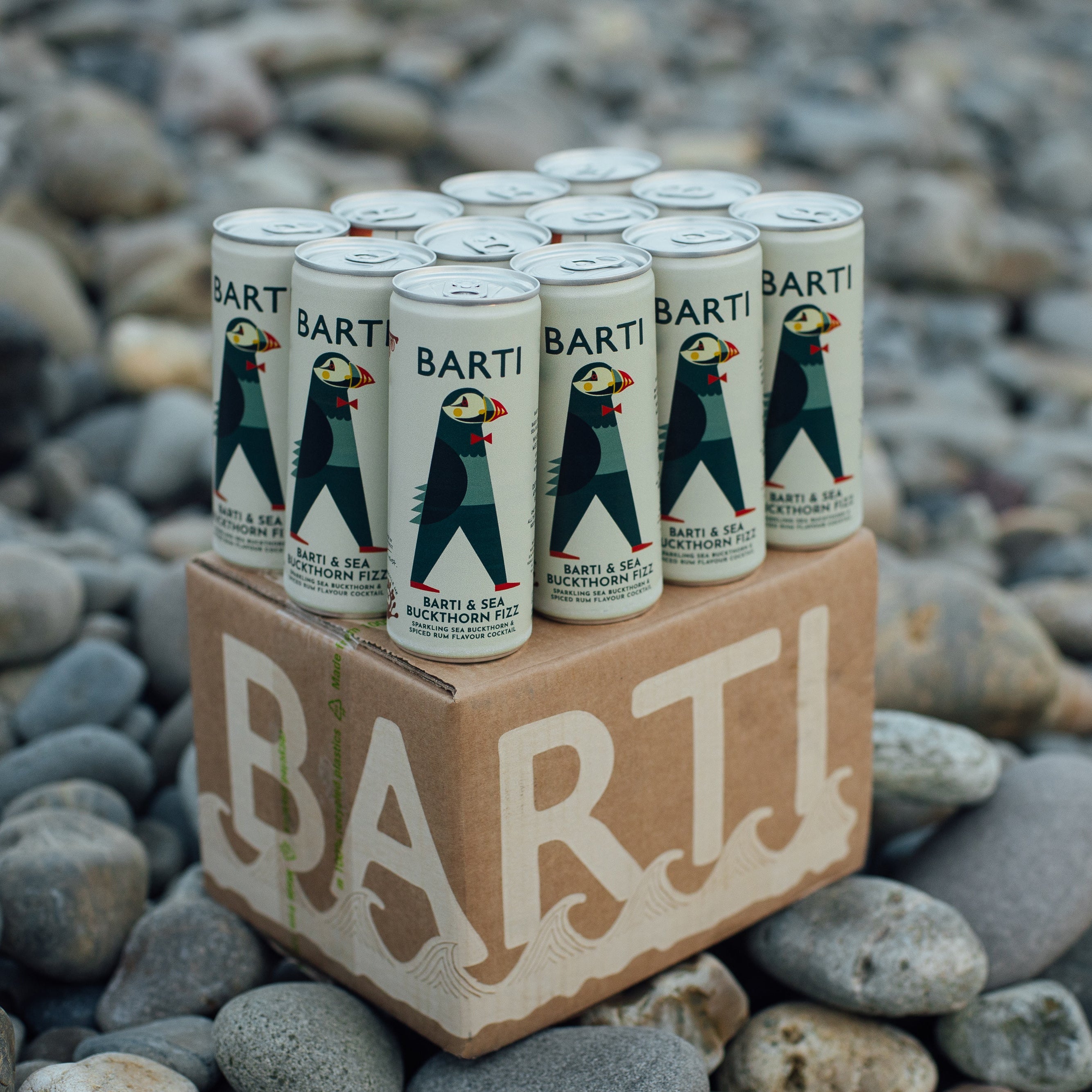 Barti & Sea Buckthorn Premixed Cocktail Can 12 pack