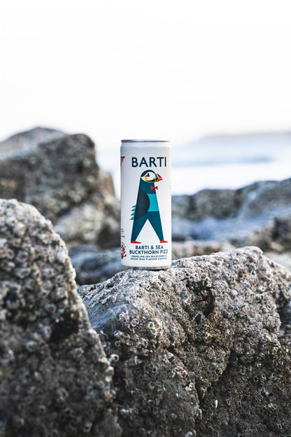 Barti & Sea Buckthorn Fizz - Pre-mixed Cocktail Can