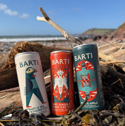 Barti & Sea Buckthorn Fizz - Pre-mixed Cocktail Can